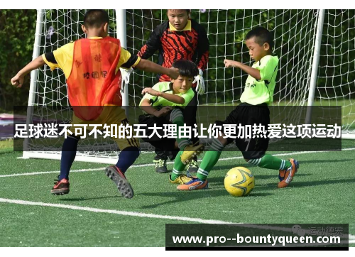 足球迷不可不知的五大理由让你更加热爱这项运动 足球迷不可不知的五大理由让你更加热爱这项运动
